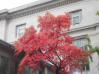 20031024/DSCN0168.JPG