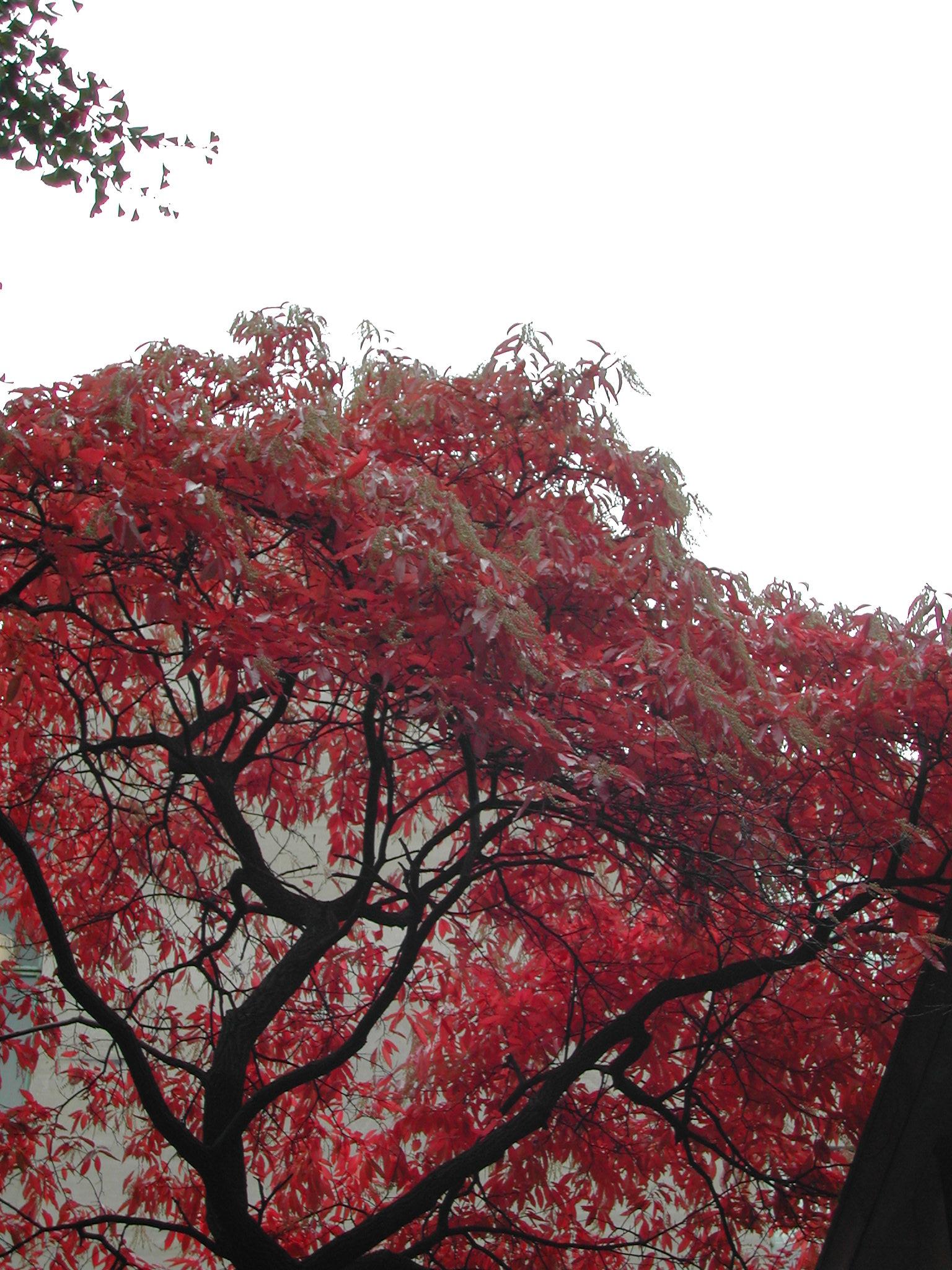 DSCN0169