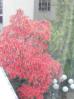 20031024/DSCN0172.JPG