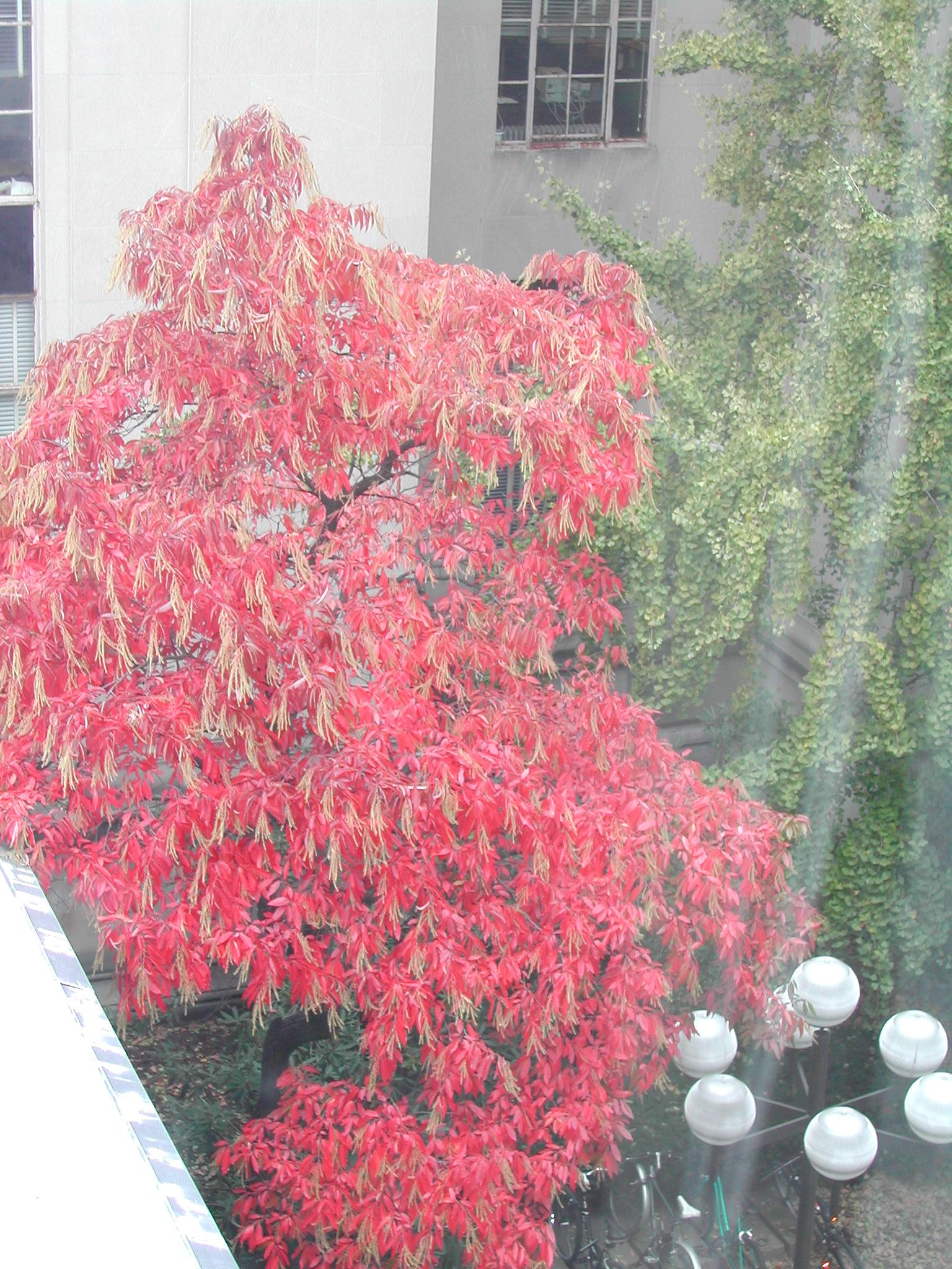 DSCN0172