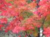 20031024/DSCN0179.JPG