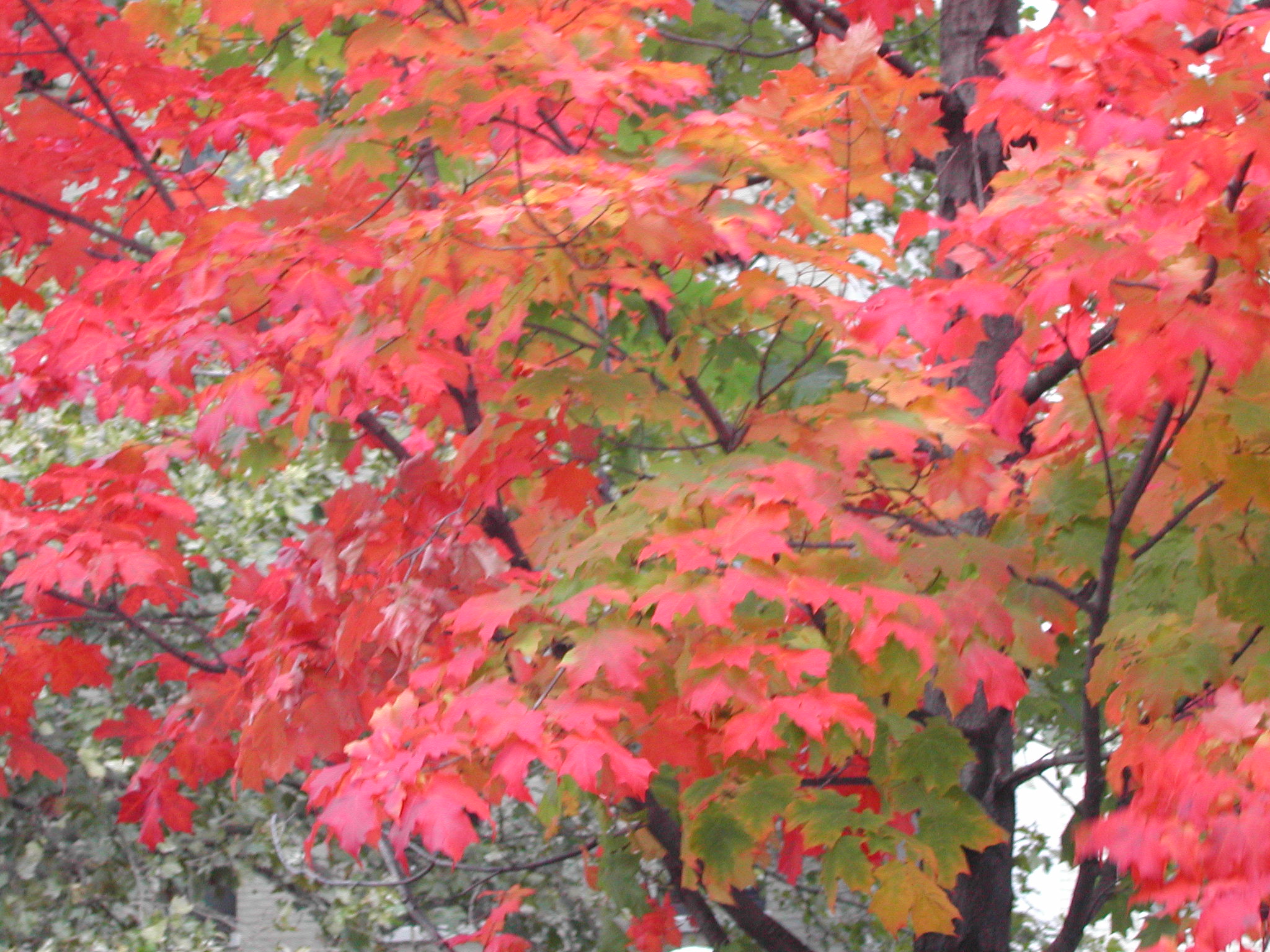 DSCN0179