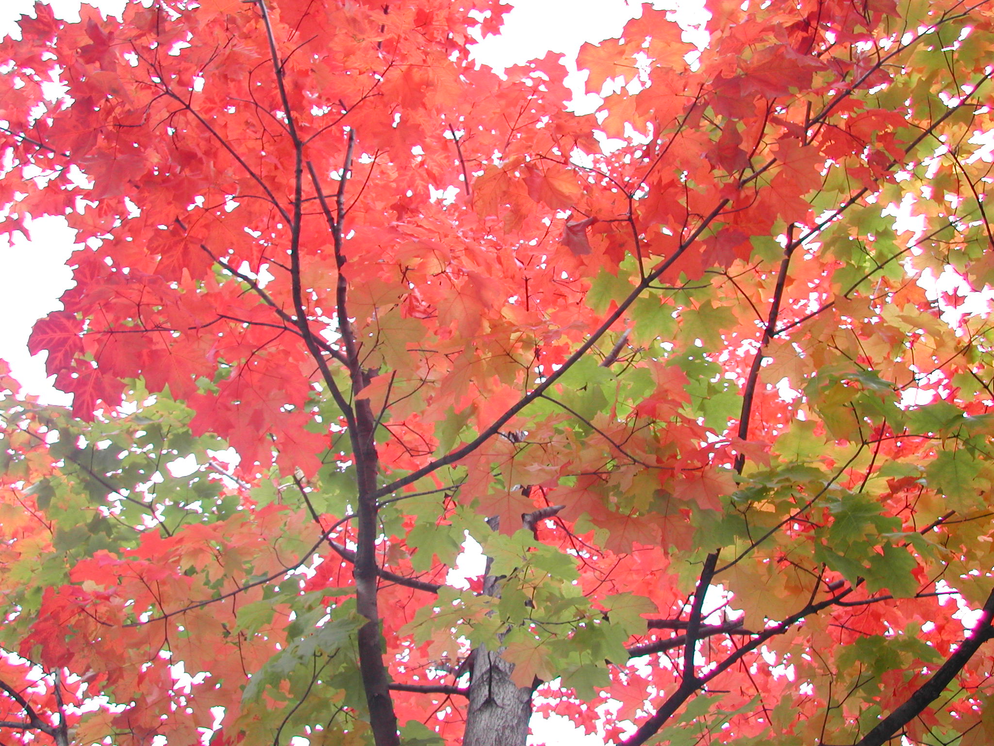 DSCN0180