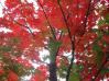 20031024/DSCN0181.JPG
