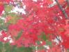 20031024/DSCN0184.JPG