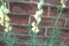 20020621/image05.jpg